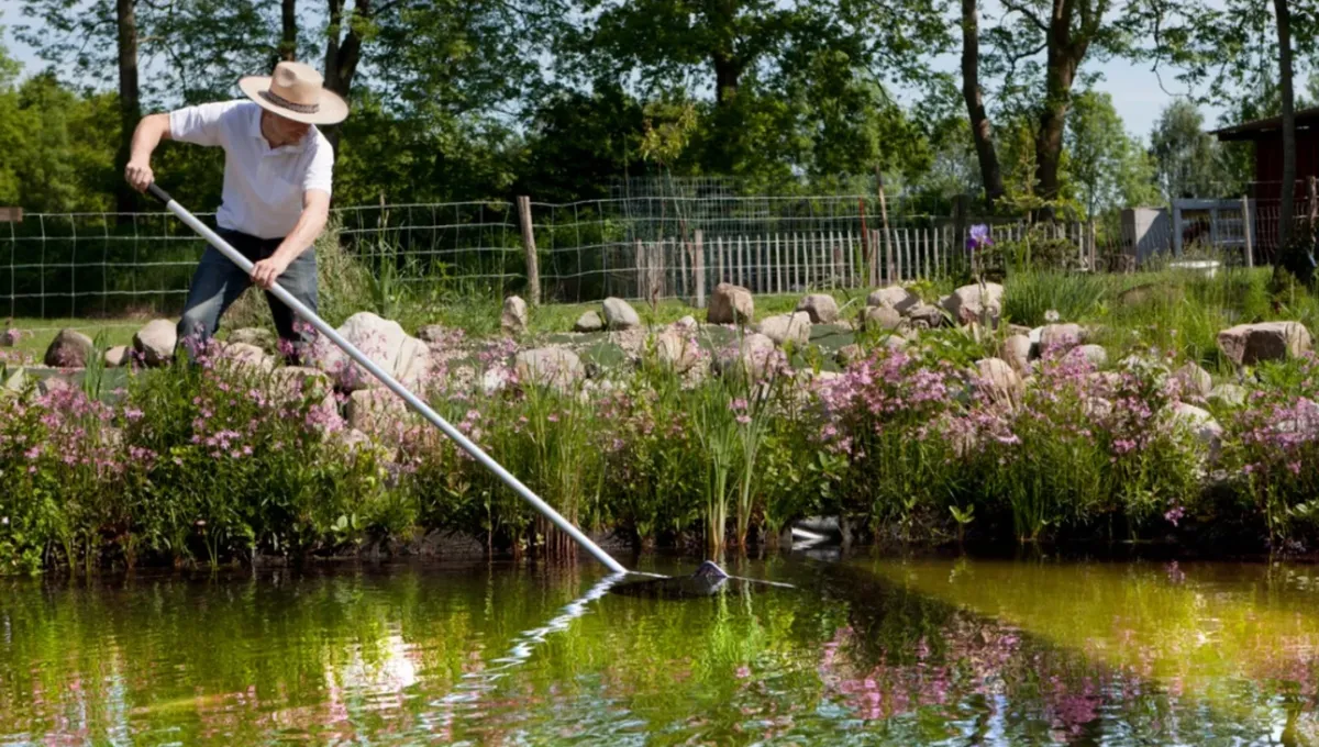 How To Clean A Fish Pond