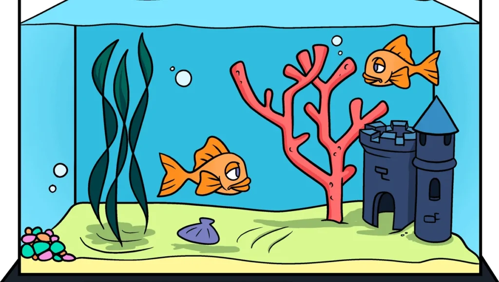 How To Draw A Fish Tank