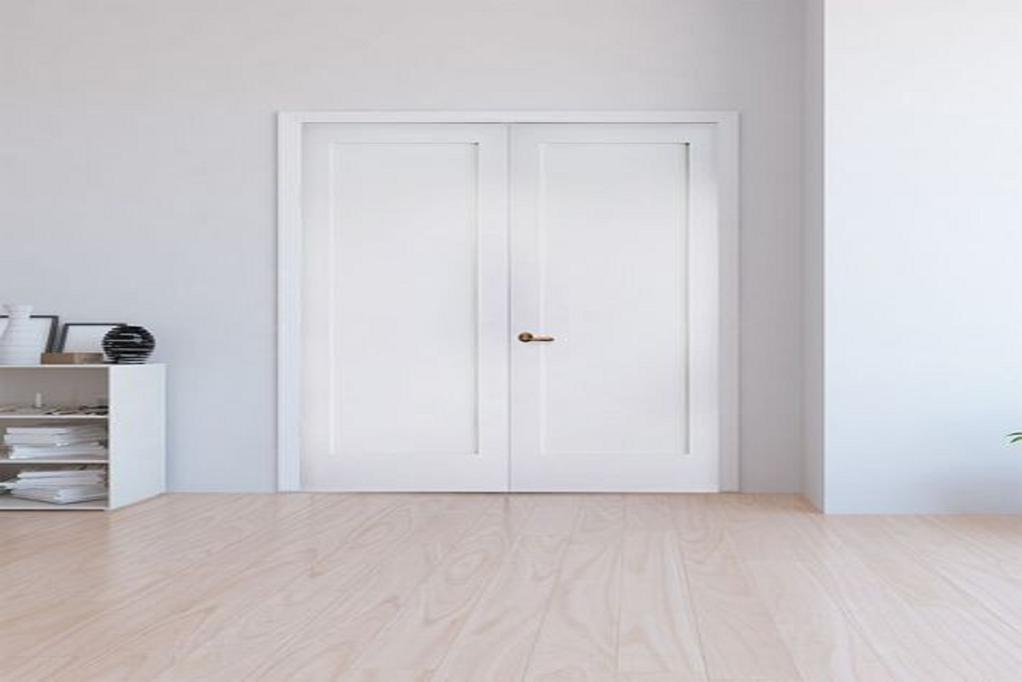 Contemporary White Wood Pocket Doors