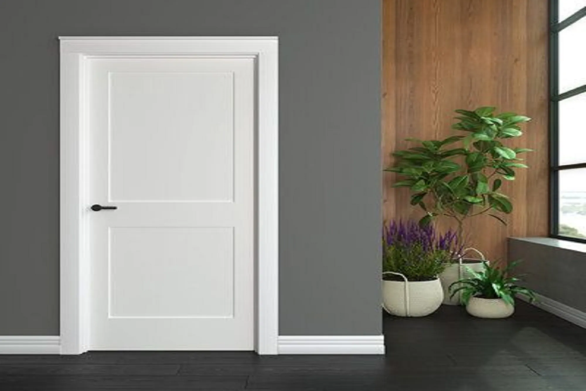 Minimalist Panel Doors