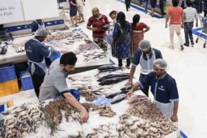 Fish Market Dubai: Best Places to Buy Fresh Seafood