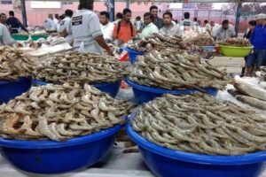 Best Fish Market Near Me in Dubai – A Complete List