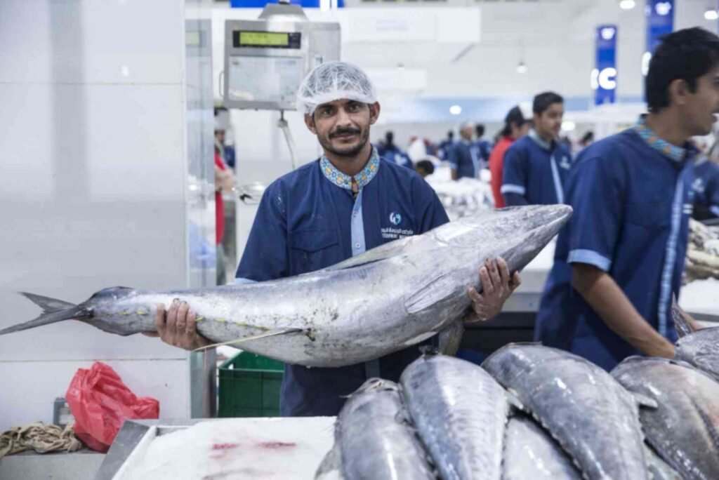 Deira Fish Market vs. Waterfront Market: Which Is Better?