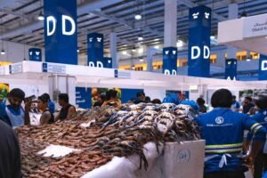 Dubai’s Most Expensive & Exotic Fish – Where to Find Them