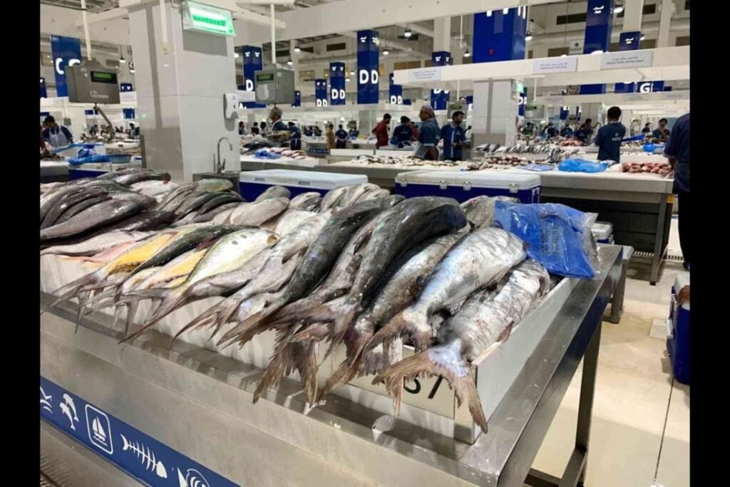 Fish Market Dubai Prices A Guide for Buyers & Sellers (2)