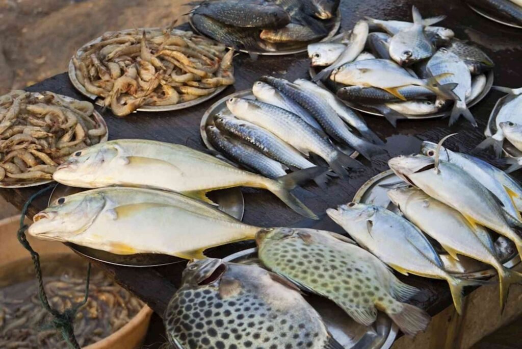 Hidden Gems: Lesser-Known Fish Markets in Dubai