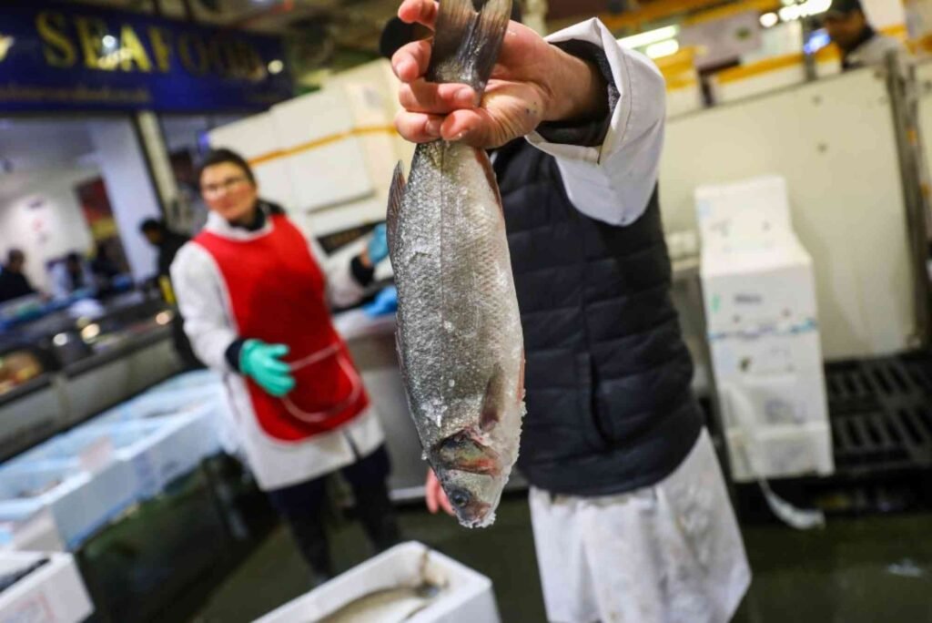 How to Buy Fresh Fish in Dubai’s Markets Like a Pro