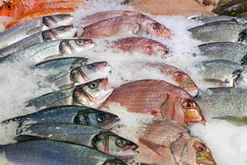 How to Buy Fresh Seafood at Dubai's Fish Markets