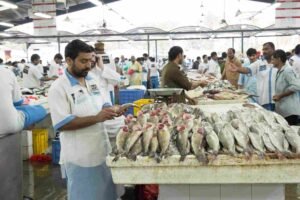 The Evolution of Fish Markets in Dubai: Past & Present
