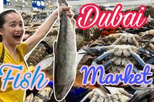 Top 10 Fish Markets In Dubai For Fresh & Affordable Seafood
