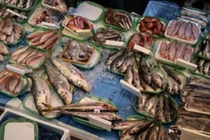 Waterfront Fish Market Dubai: Timings, Prices & Best Deals