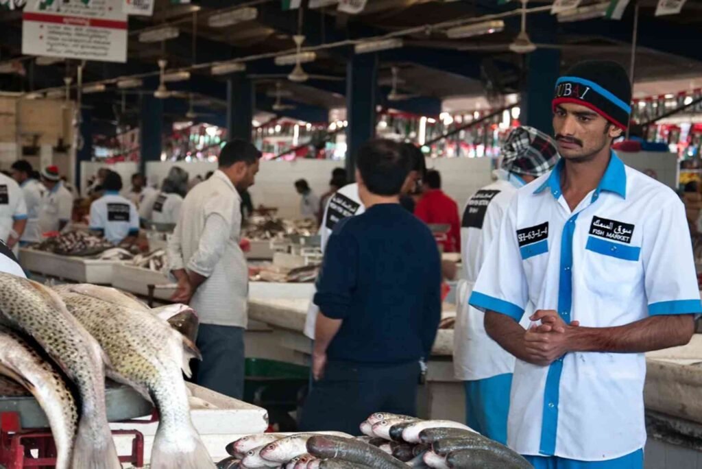 Wholesale Fish Markets in Dubai: Bulk Buying Guide
