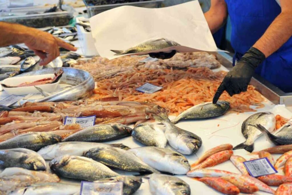 A Complete Guide to Fish Market Dubai: Locations, Prices & Tips