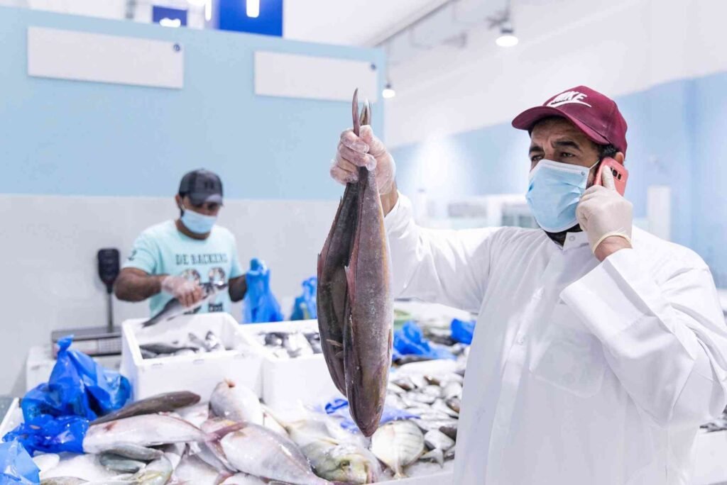 A Walk Through Dubai’s Fish Markets: What To Expect