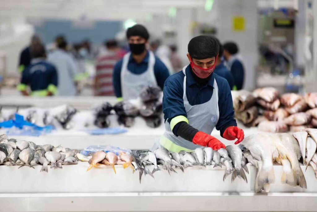 Best Fish Market Near Me in Dubai: How to Find the Freshest Catch