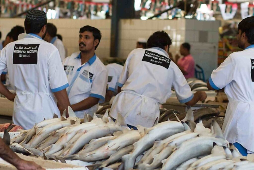 Dubai Fish Market Regulations: What Buyers & Sellers Should Know