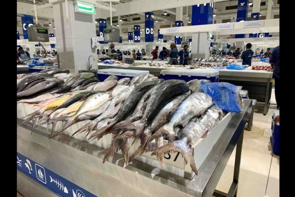 Dubai Fish Market Timings – When to Visit for the Best Deals