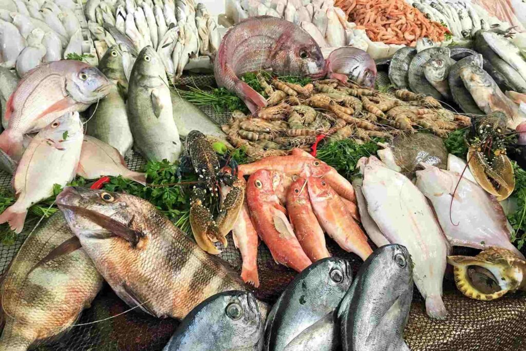 Dubai’s Top Seafood Export Markets & Their Global Influence