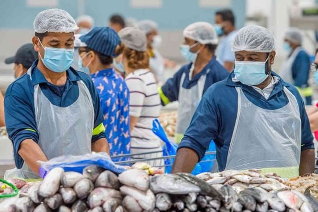 Dubai’s Wholesale Fish Market Where Restaurants Get Their Seafood (1)