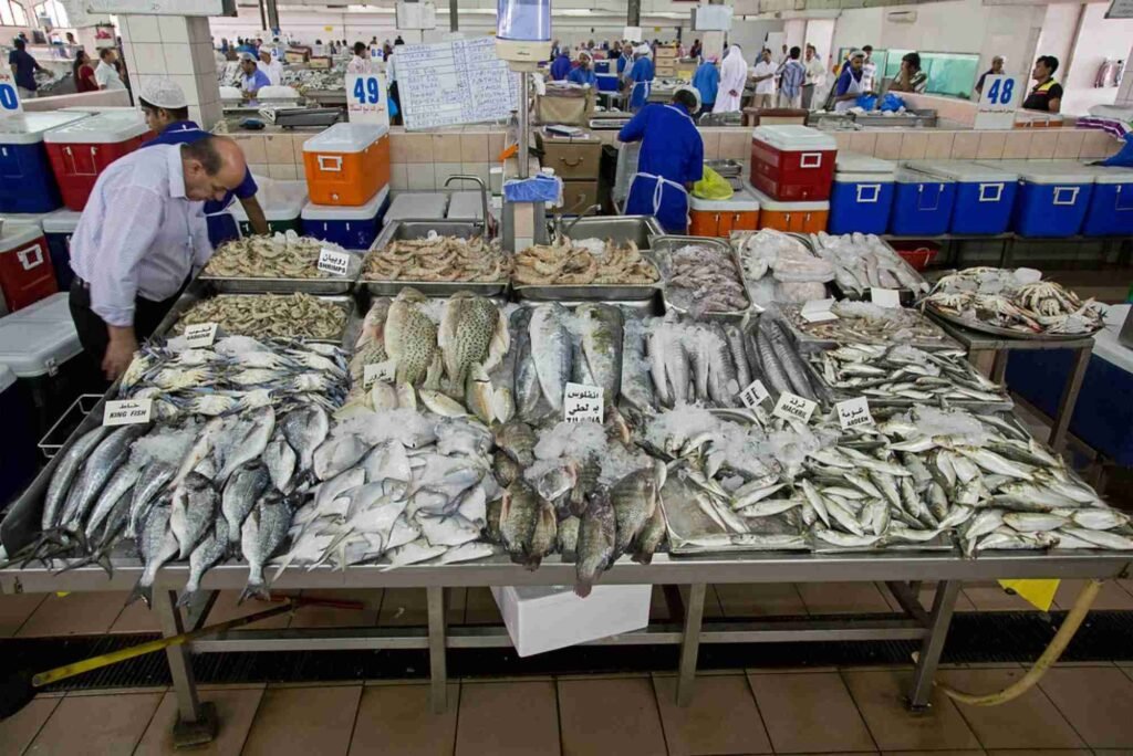 Fish Auctions in Dubai How They Work & What You Need to Know