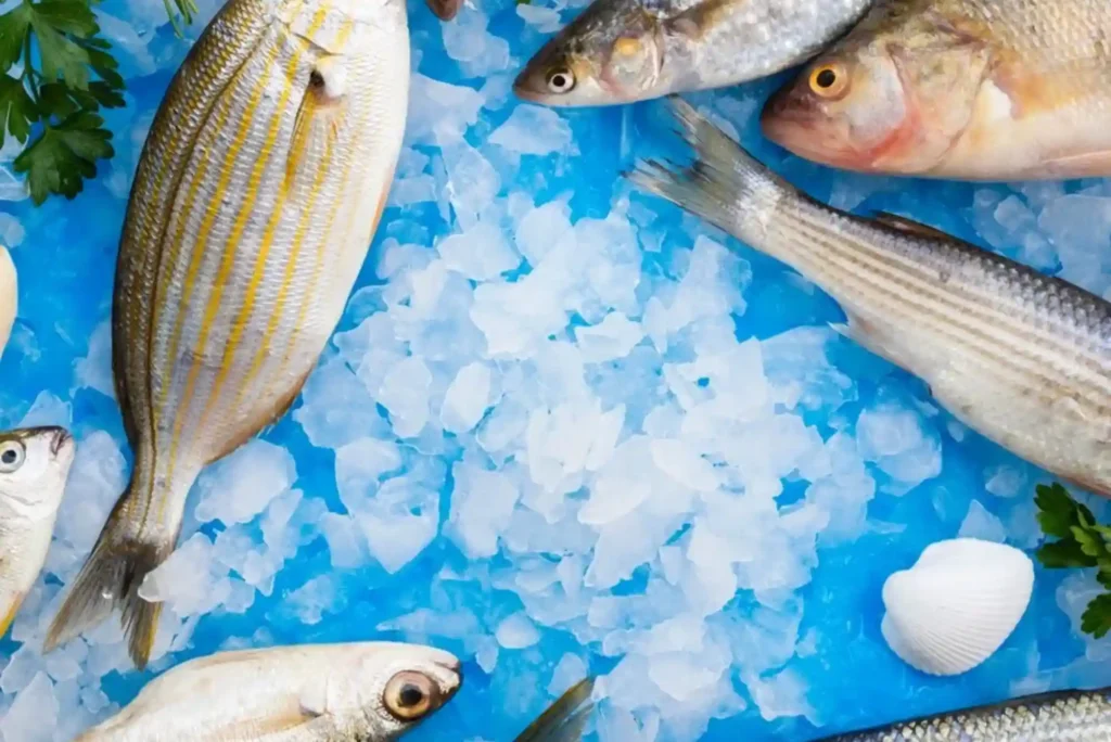 Fresh Fish and a Fresh Experience Convenience at Your Doorstep in Dubai