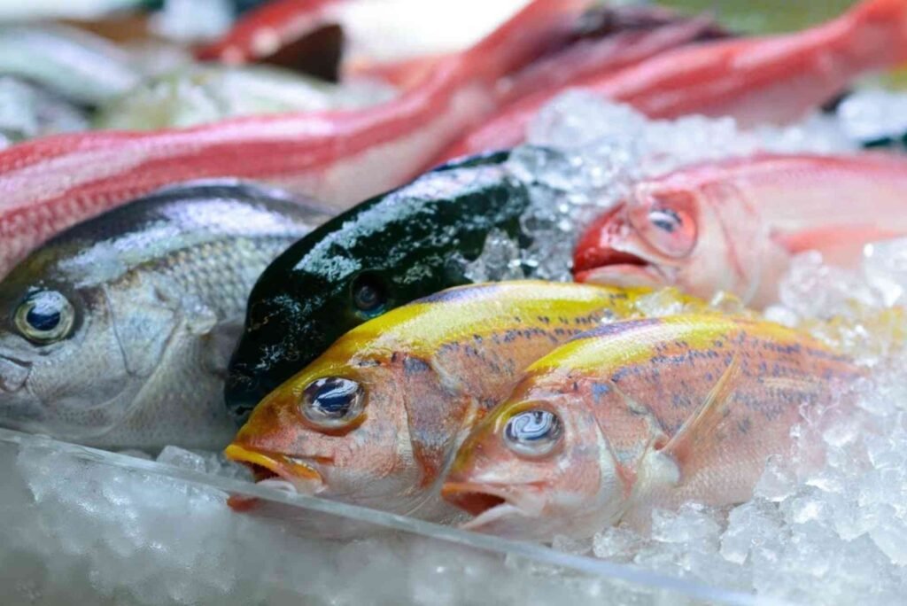 Fresh vs. Frozen Fish – What’s Better at Dubai’s Fish Market