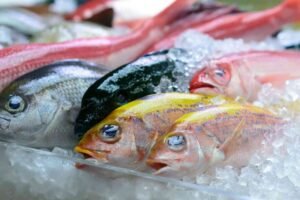Fresh vs. Frozen Fish – What’s Better at Dubai’s Fish Market