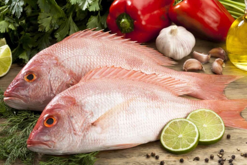 Hamour Fish Price in Dubai – What You Need to Know