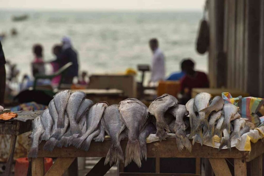 How Dubai’s Fish Market Supports Local Fishermen