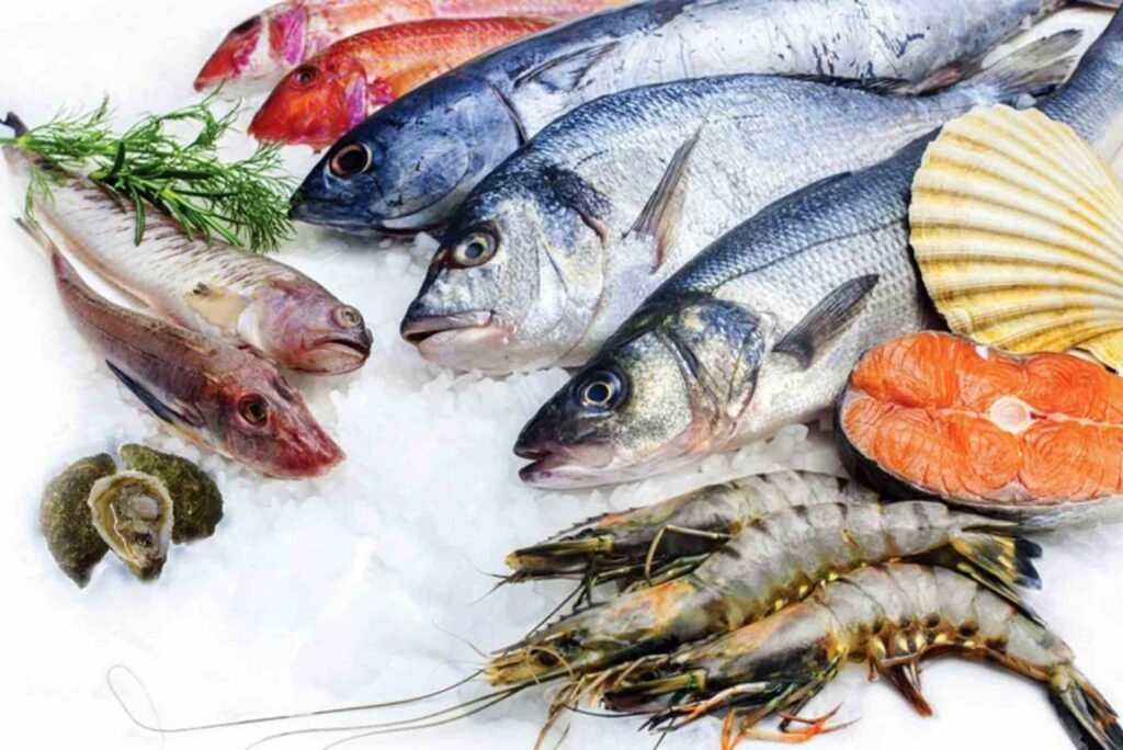 How Dubai’s Fish Markets Are Adapting to Sustainability Trends