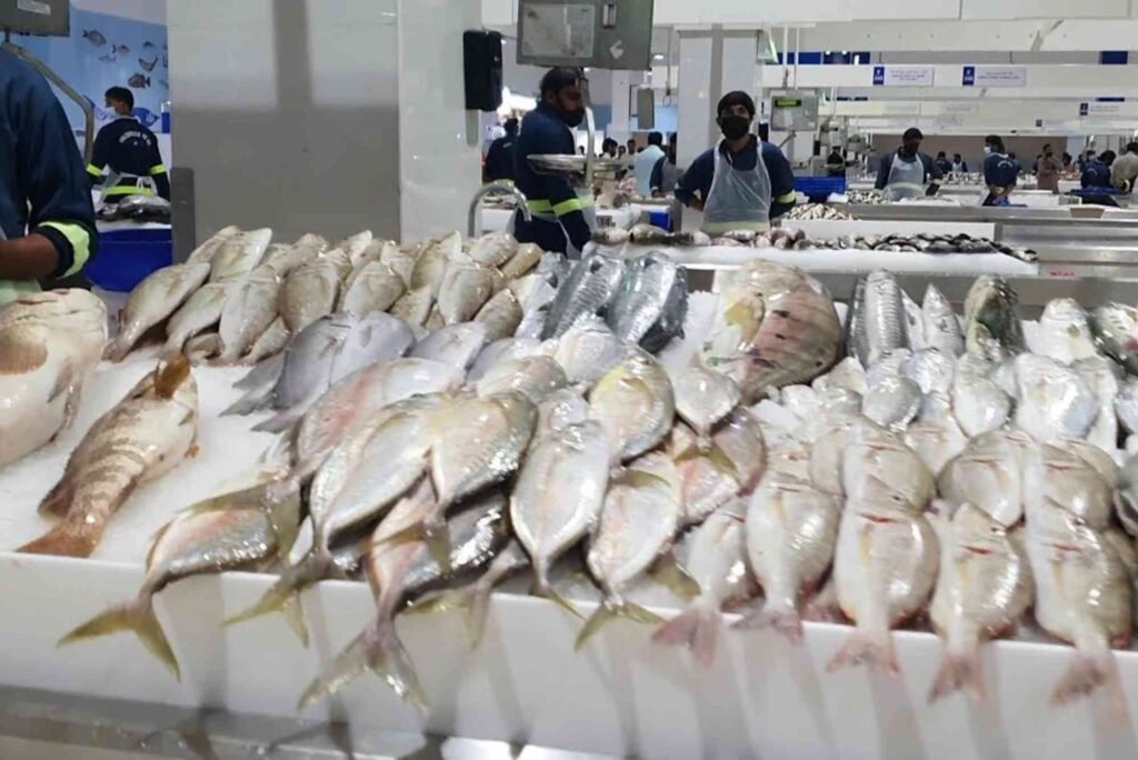 How To Identify The Freshest Fish At Dubai’s Markets
