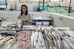 How to Choose the Freshest Fish at Dubai’s Fish Markets