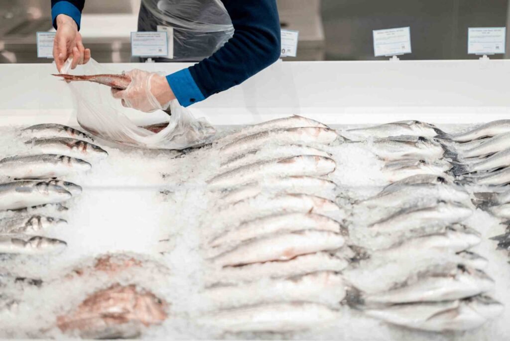How to Store and Preserve Hamour Fish for Freshness
