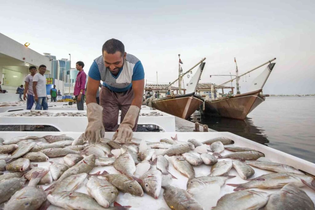 Most Popular Fish Found in Dubai’s Fish Markets
