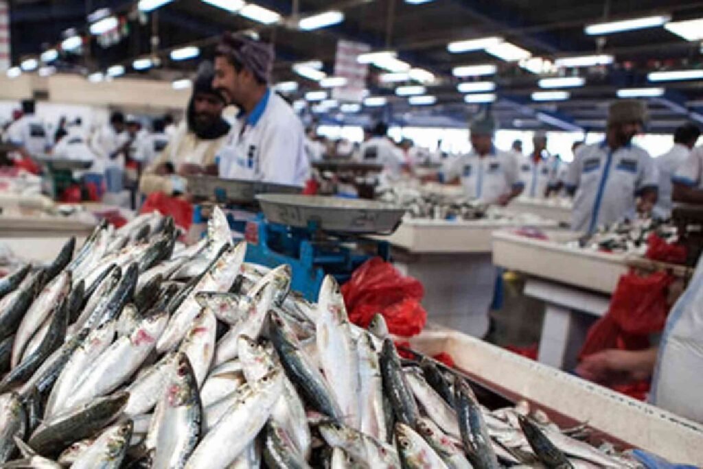 The Future of Dubai’s Fish Markets Trends & Innovations