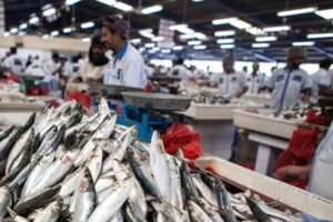 The Future of Dubai’s Fish Markets Trends & Innovations
