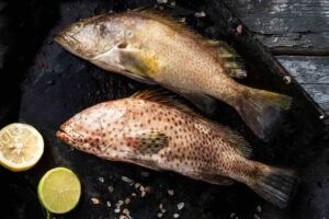 The Health Benefits of Eating Hamour Fish