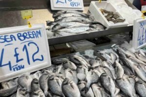 The Role Of Dubai’s Ports In Supplying Fresh Fish To Markets