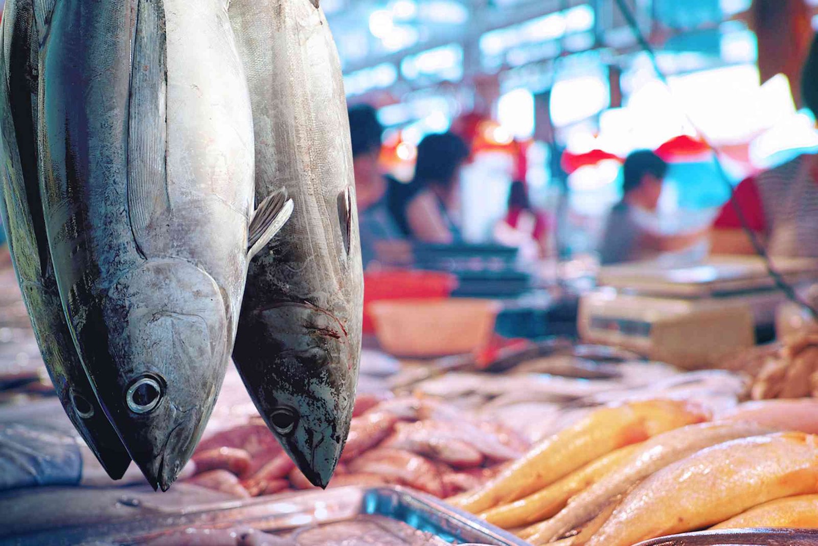 The Role of Fish Markets in Dubai’s Economy & Seafood Trade