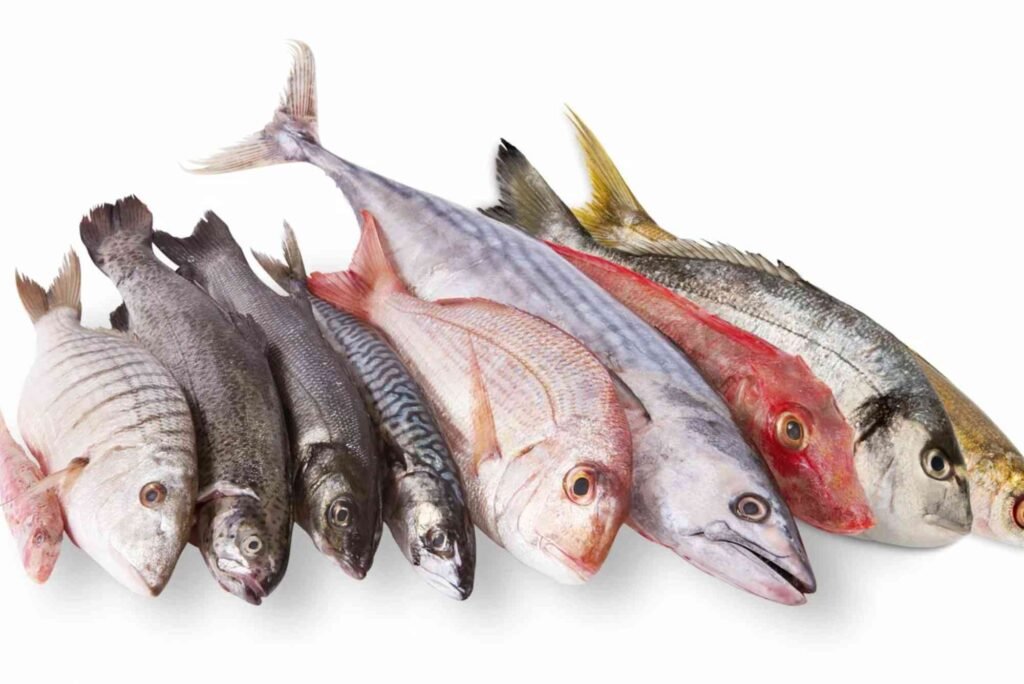 The Ultimate Guide to Storing Fresh Fish from Dubai’s Markets