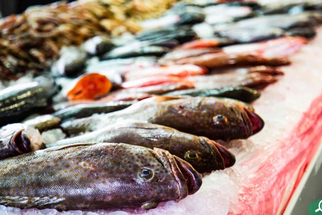 Top 10 Fish Markets in Dubai You Should Explore in 2025