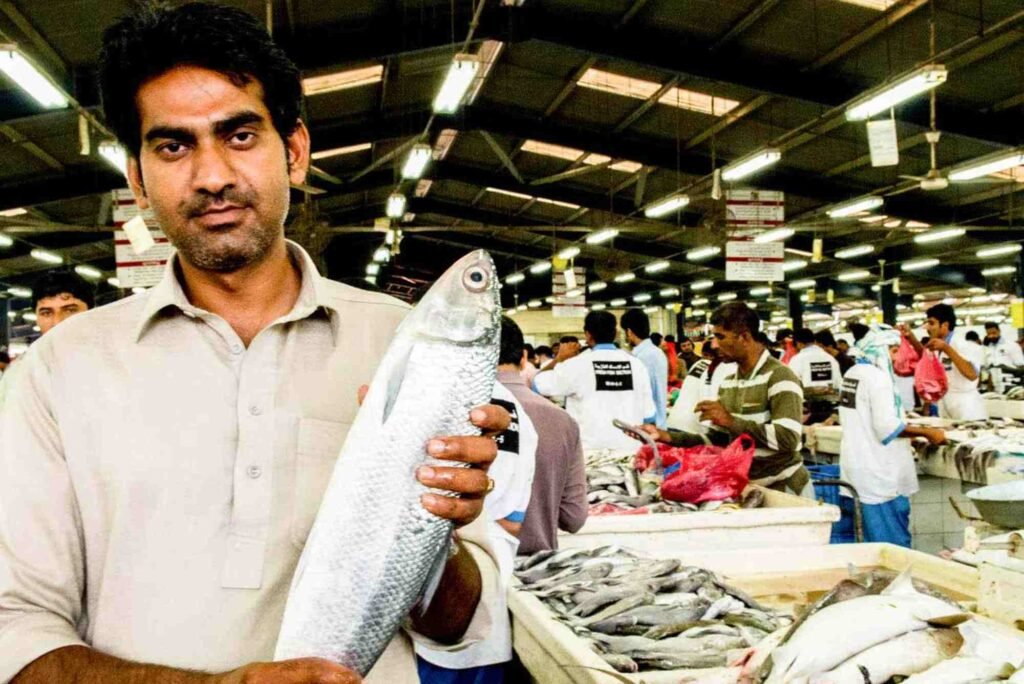 Top 5 Seafood Vendors in Dubai’s Fish Markets