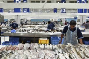 Waterfront Market Dubai The Ultimate Destination for Seafood Lovers
