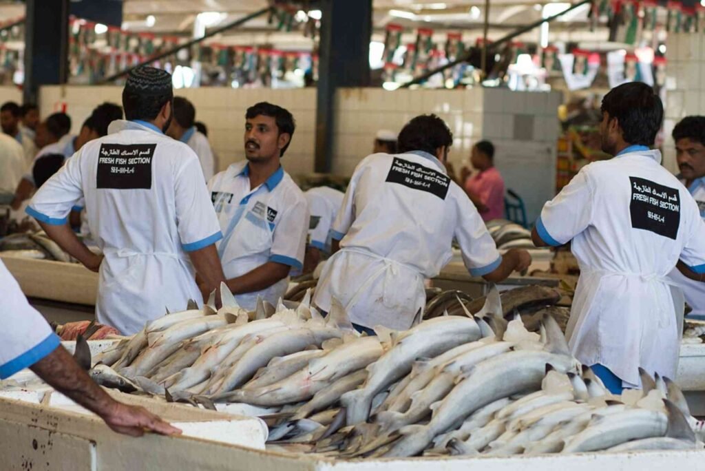 What to Expect When Visiting Dubai’s Famous Fish Markets