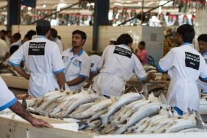 What to Expect When Visiting Dubai’s Famous Fish Markets