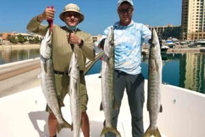 Where to Find Fresh Hamour Fish in Dubai?