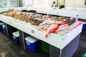Where to Find the Cheapest Fresh Fish in Dubai?