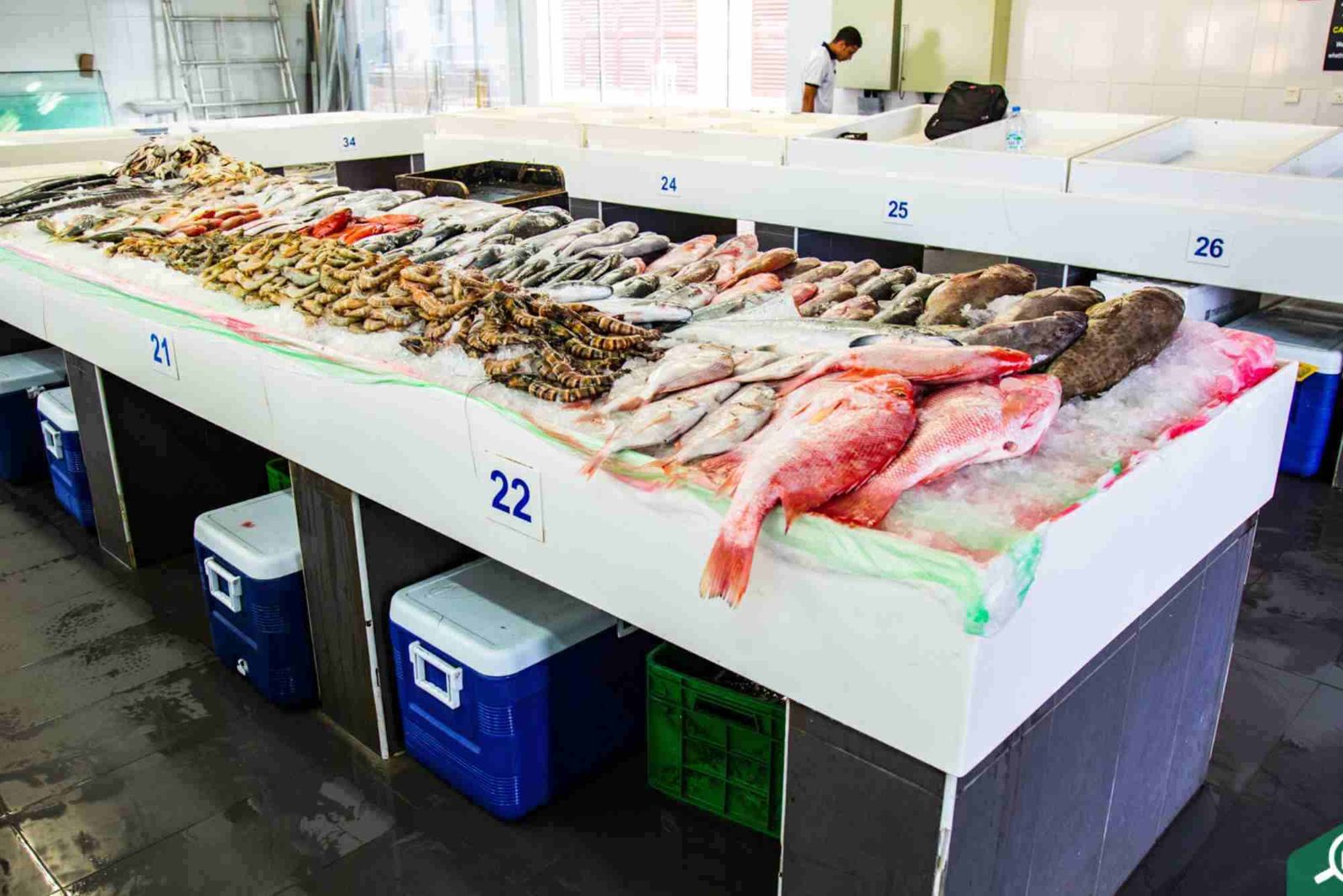 Where to Find the Cheapest Fresh Fish in Dubai?