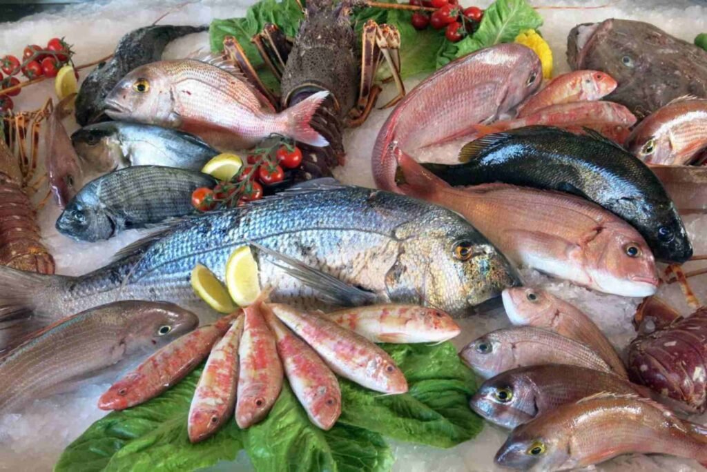 Why is the Deira Fish Market So Popular Among Seafood Lovers