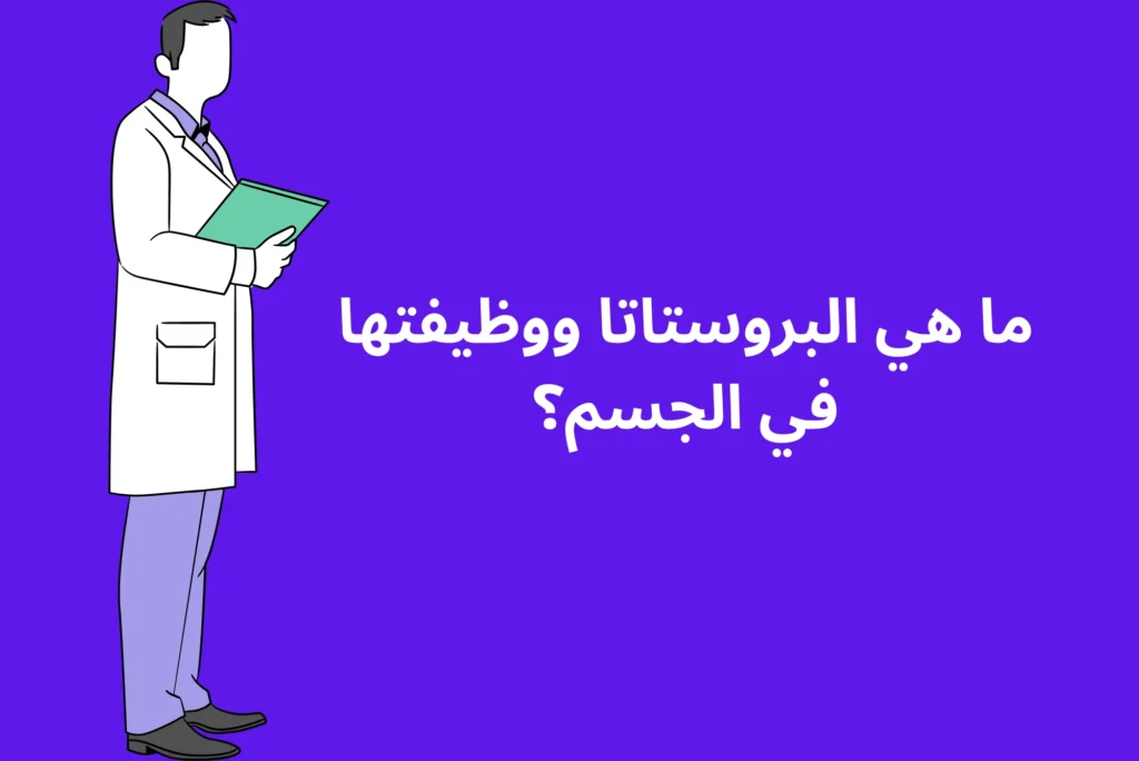 ما هي البروستاتا ووظيفتها في الجسم؟